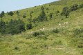 (263) Col d'Iparlatze